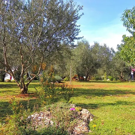 Apartament Marinovic *
