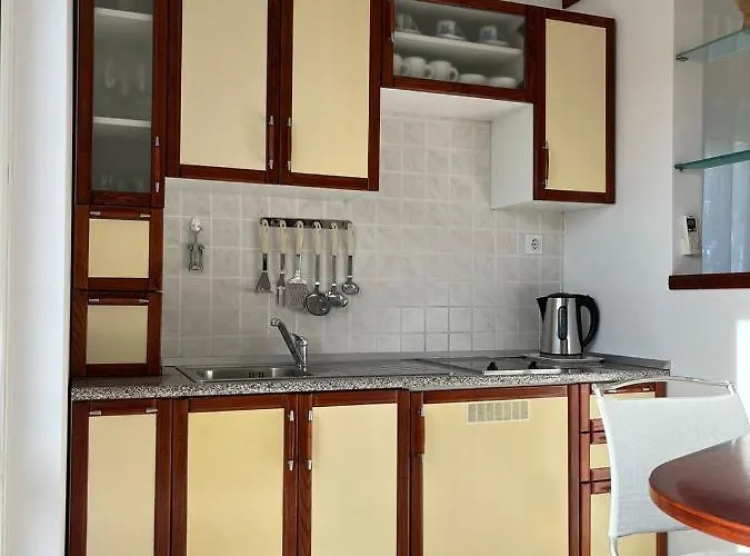 Marinovic Apartment Brzac