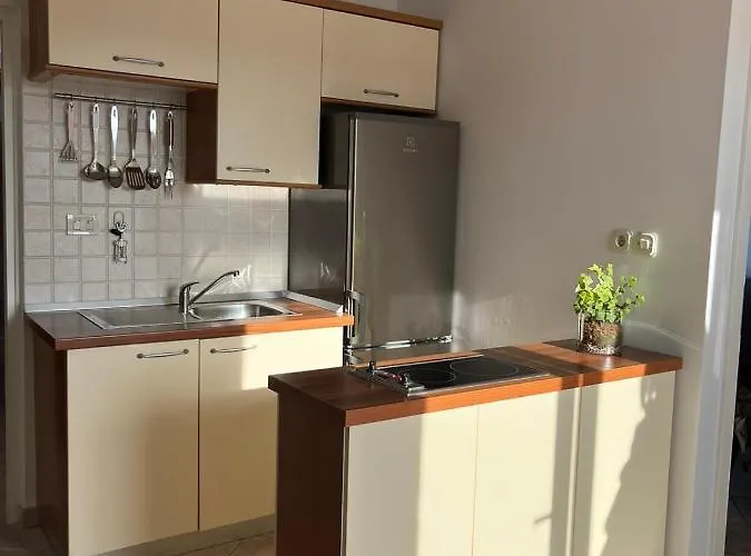 Apartment Marinovic Brzac